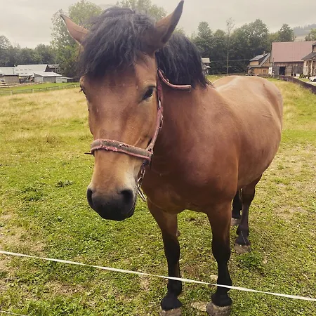 Vakantiehuis Regionalny Bakowo *