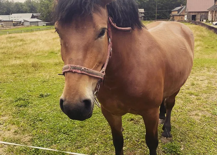 Semesterbostad Regionalny Bakowo *