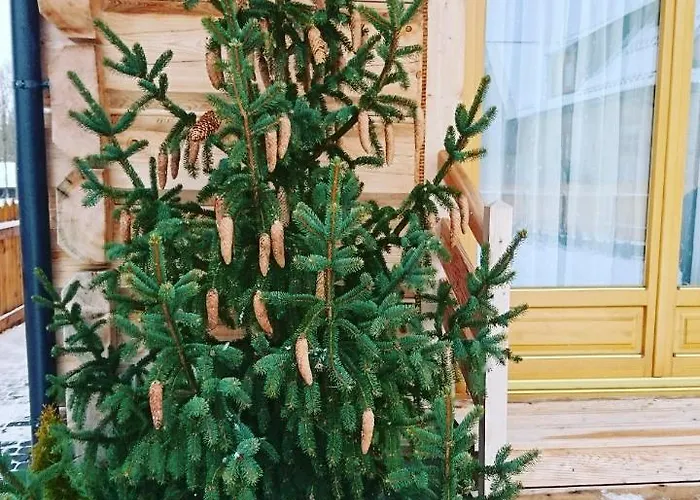 Semesterbostad Regionalny Bakowo